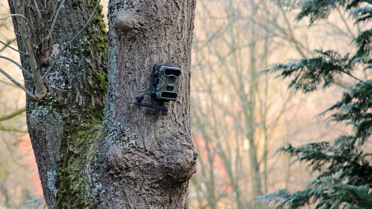 Private Videouberwachung Illegaler Einsatz Ist Strafbar Heise