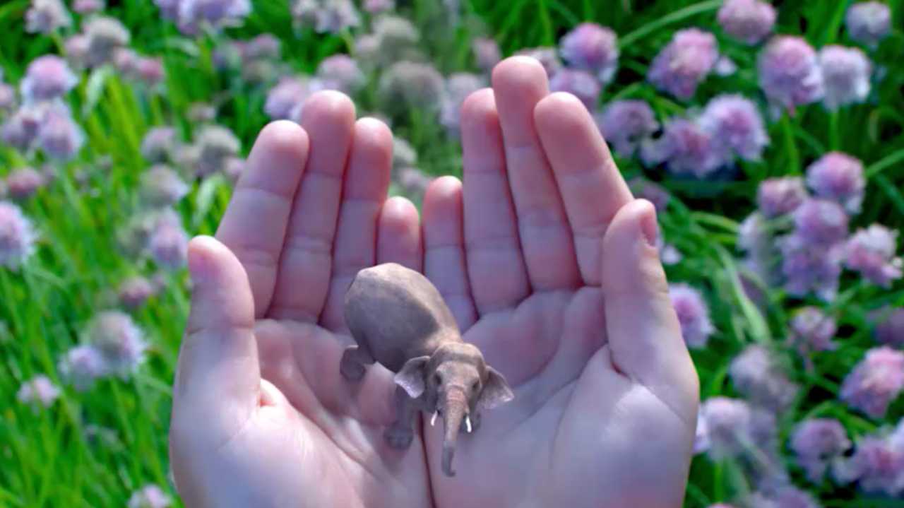 Foto von Magic-Leap-Prototyp geleakt