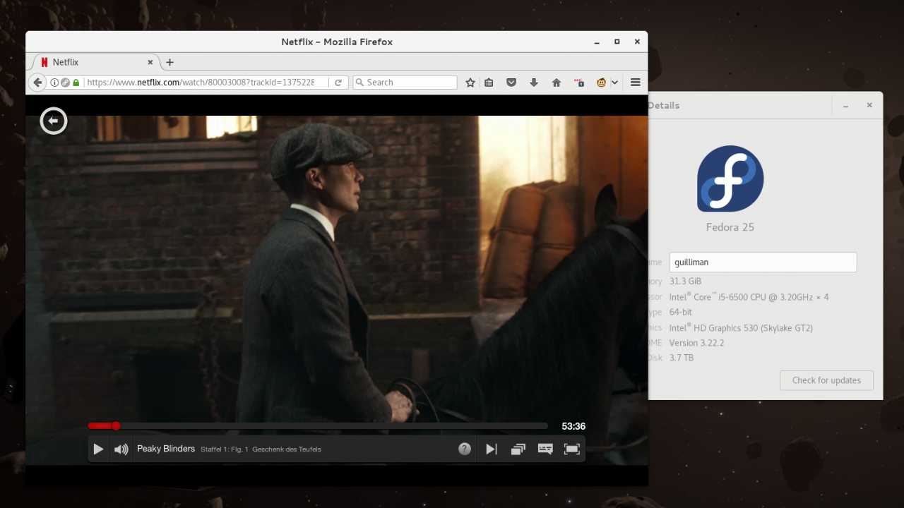 Serienspaß auch für Linux-Nerds: Netflix blockiert Fedora-Nutzer nicht mehr