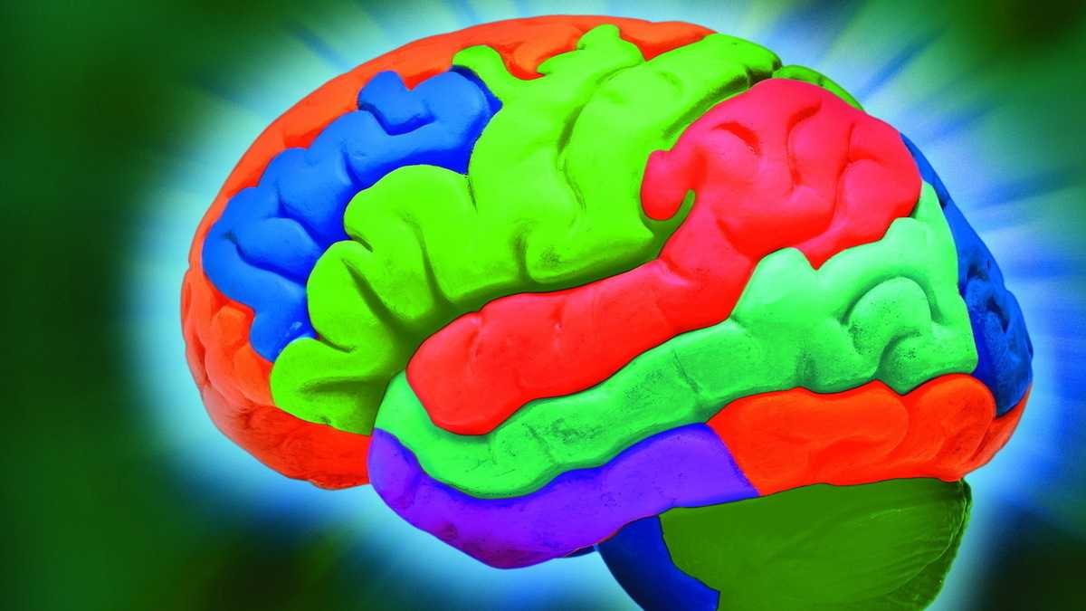 Machine Learning: Nvidia gibt TensorRT 2 frei