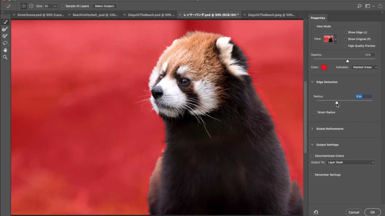 Photoshop-Ausblick: Auswahl mit künstlicher Intelligenz