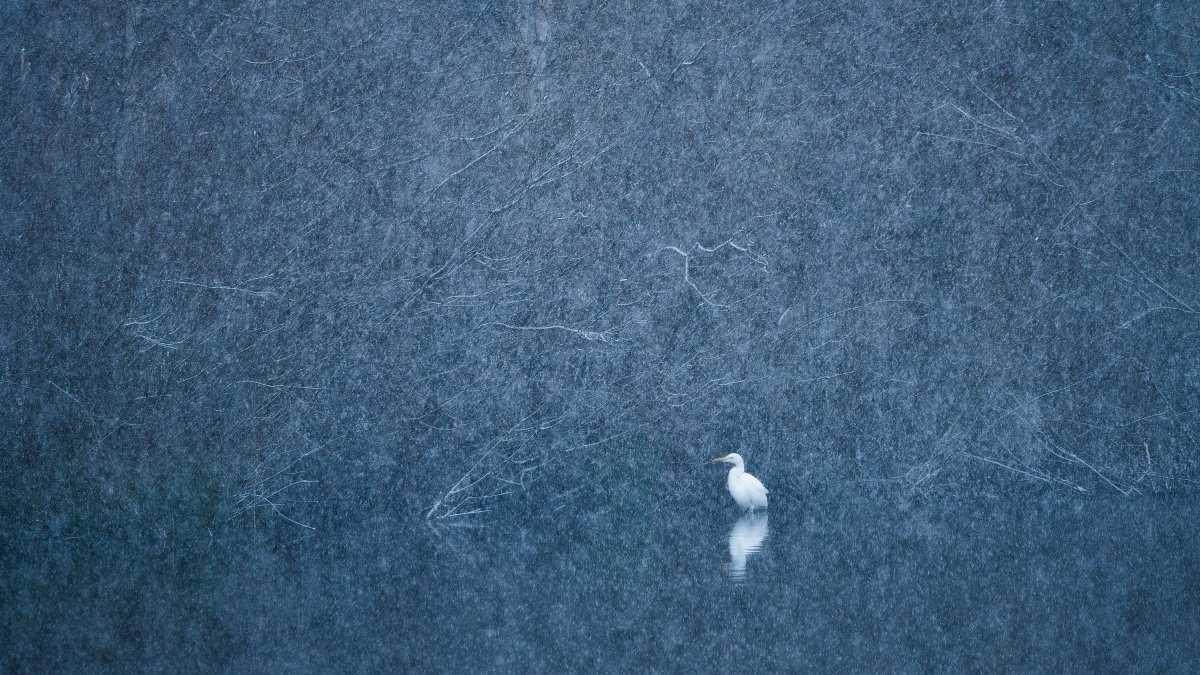 Nostalgie im Schnee – Die Bilder der 52. Kalenderwoche