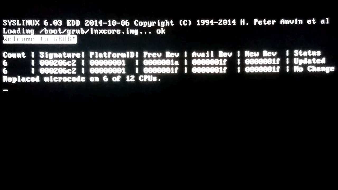 Der Intel Microcode Boot Loader lädt Microcode-Updates