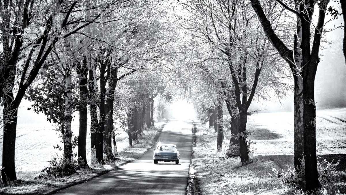 Winterlandschaft