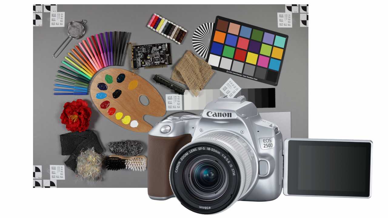 Canon EOS 250D: Wer braucht diese Einsteiger-Spiegelreflexkamera?