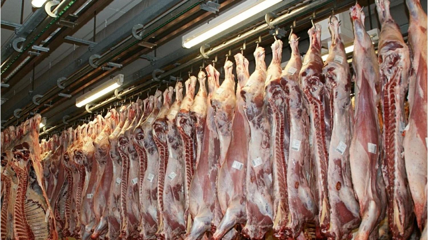рынок свежего мяса