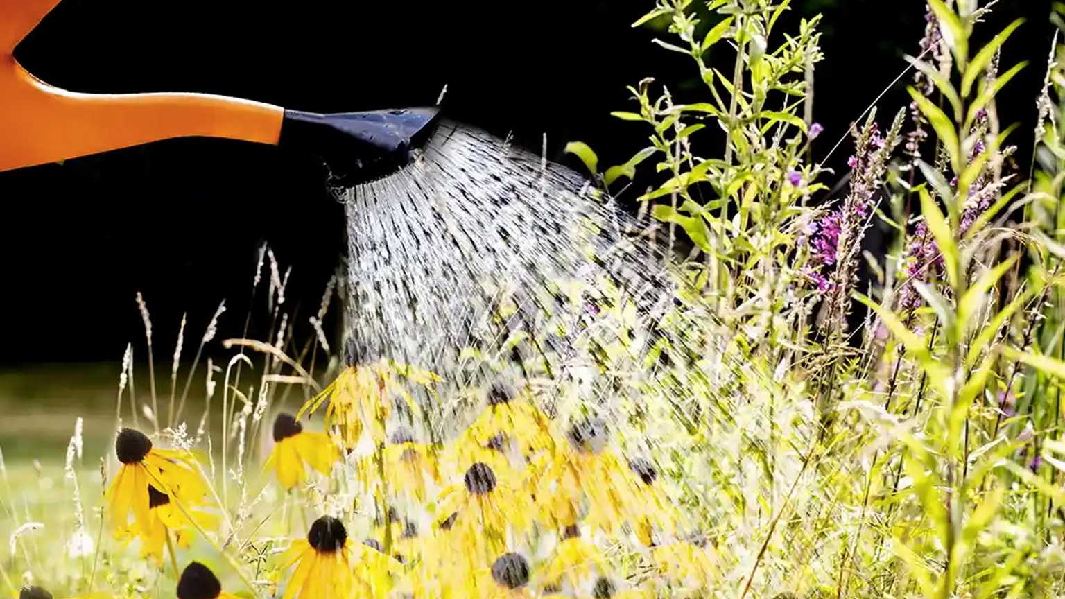 Rasen und Blumen ausreichend gießen und dennoch Wasser sparen? Das klappt dank smarter Ventile zwischen Wasserhahn und Gartenschlauch.