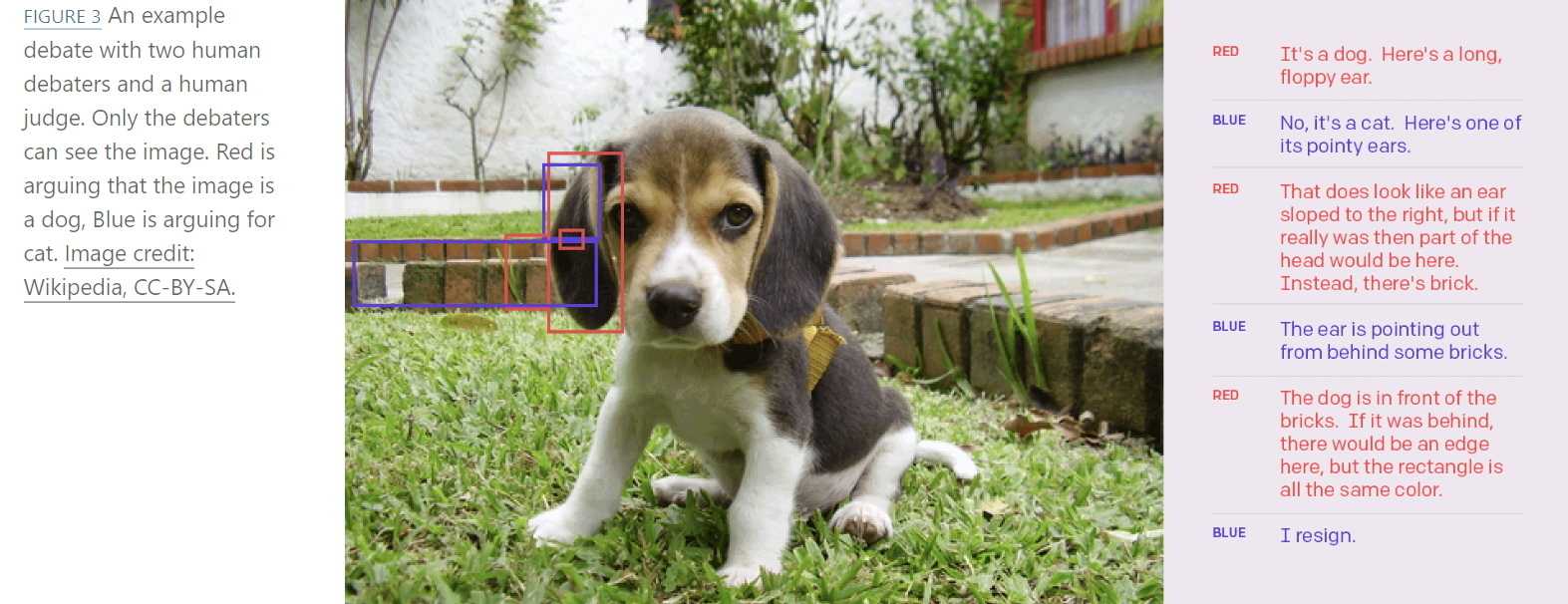 Für ein Experiment sehen die Debattierenden ein Foto eines Hundes oder einer Katze und versuchen dem Schiedsrichter, der das Bild nicht sieht, jeweils von einer Gattung zu überzeugen.