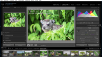 Letzte Version Von Adobe Lightroom 6 Erschienen Heise Online