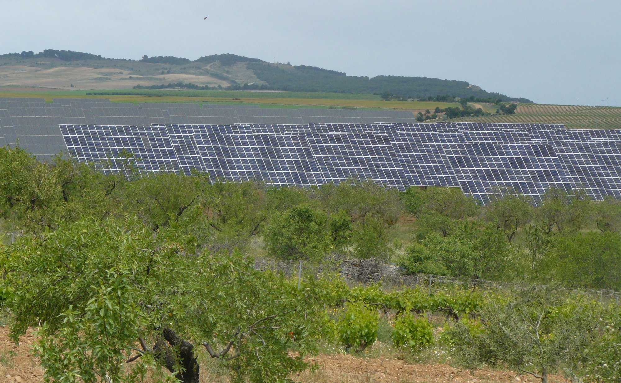 Solarfelder neben Weinreben und Mandelbäumen.jpg