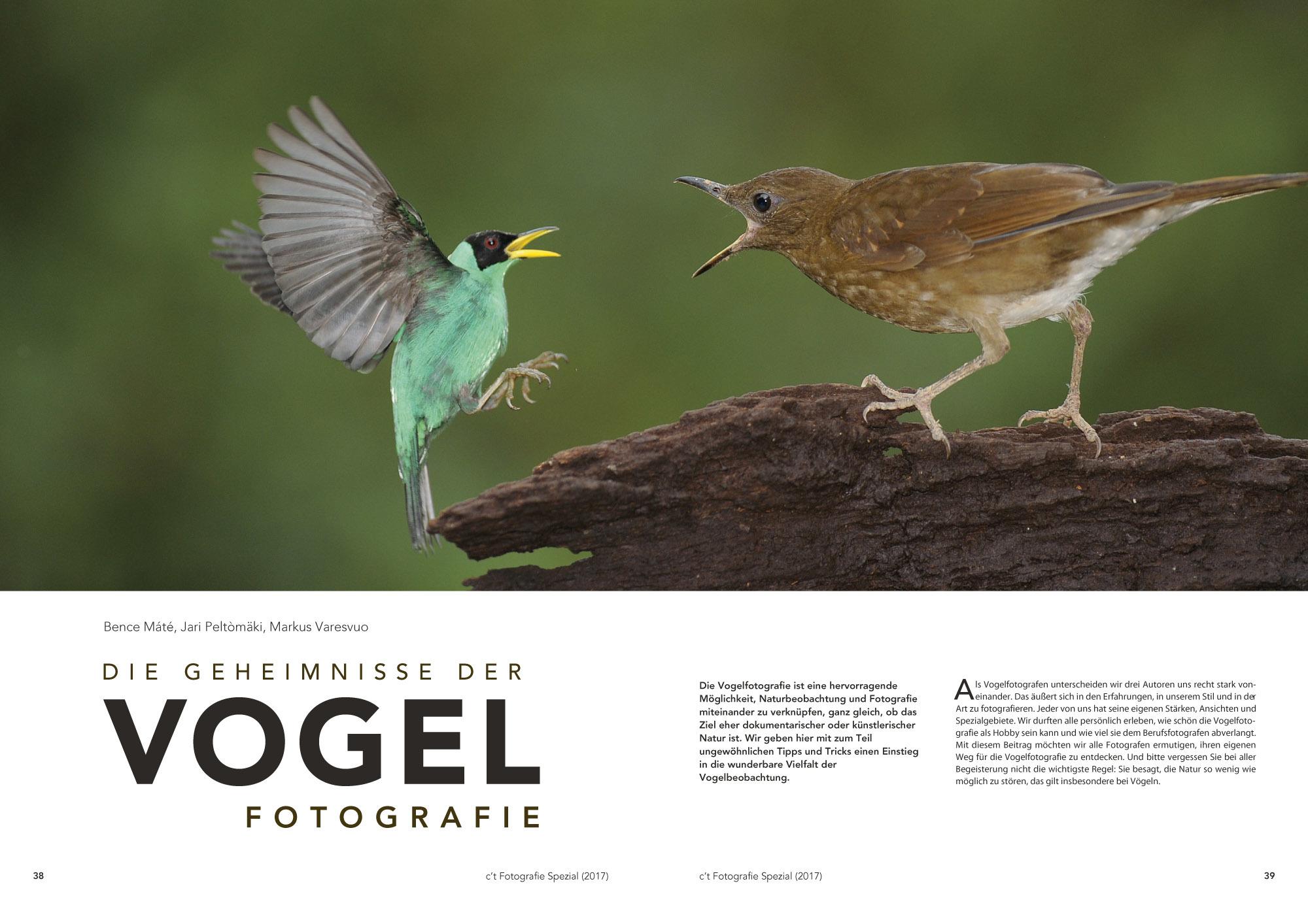 Vogelfotografie