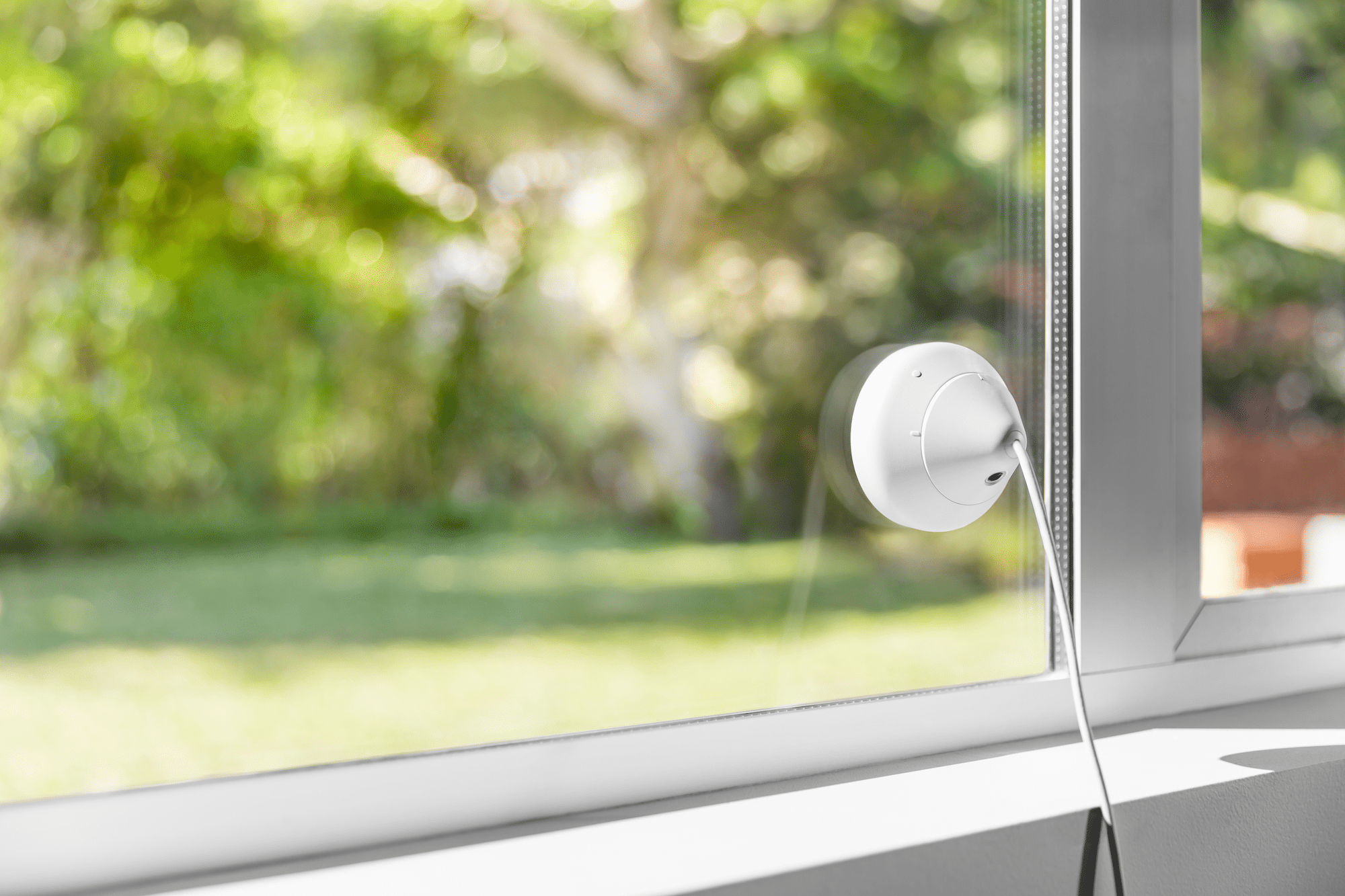Circle 2 Fenster