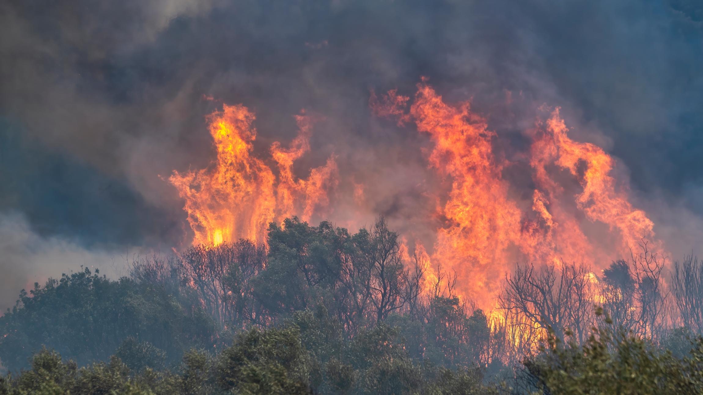Klimawandel verstärkt Waldbrände in Südeuropa massiv