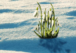 Der Stand der Dinge bei Spring: Spring 4.0, Spring Boot und Spring XD