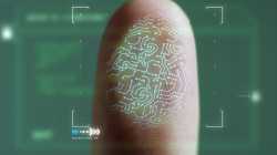 Scan,Fingerprint,Biometric,Identity,And,Approval.,Concept,Of,The,Future