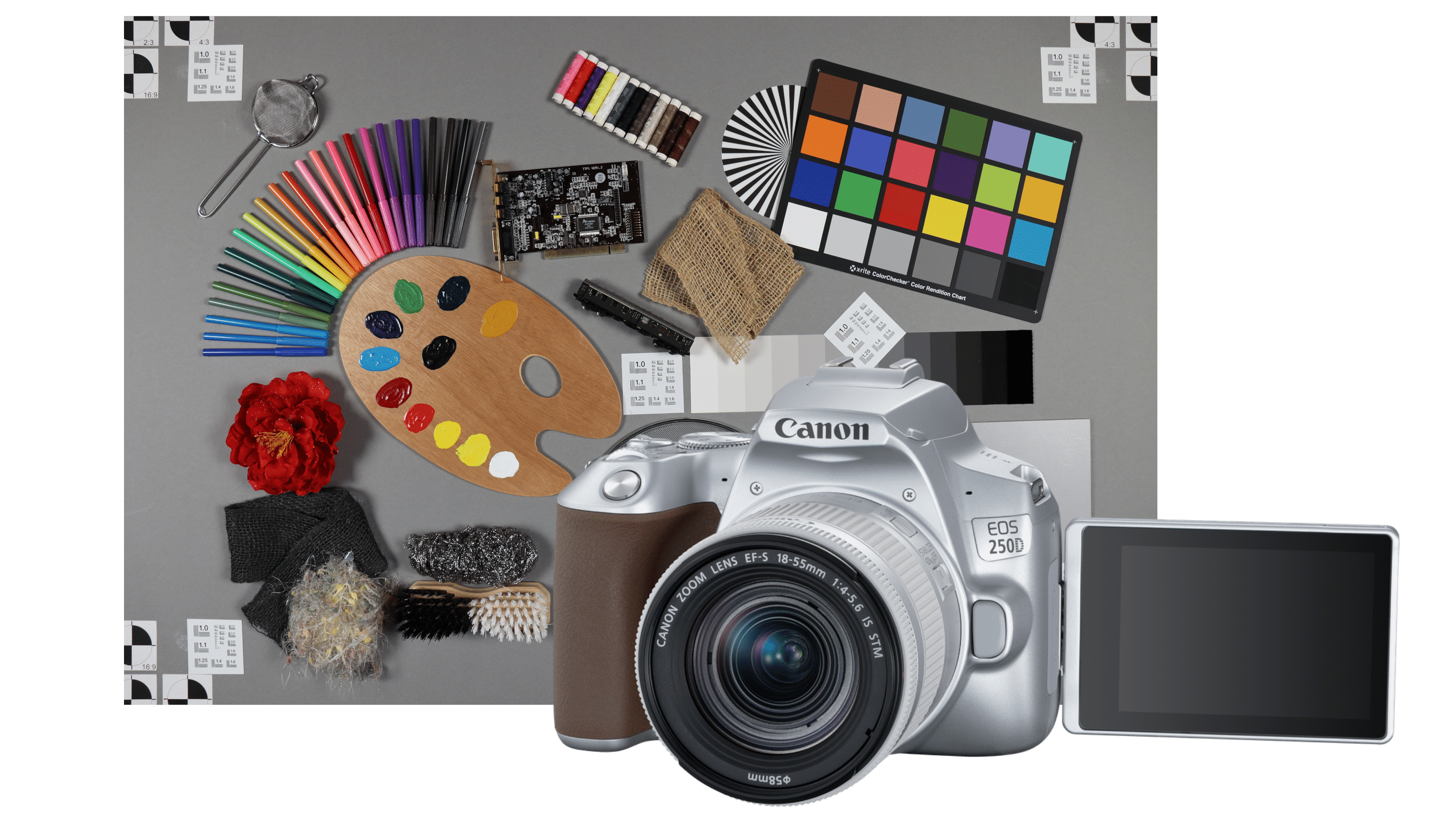 Canon EOS 250D: Wer braucht diese Einsteiger-Spiegelreflexkamera?