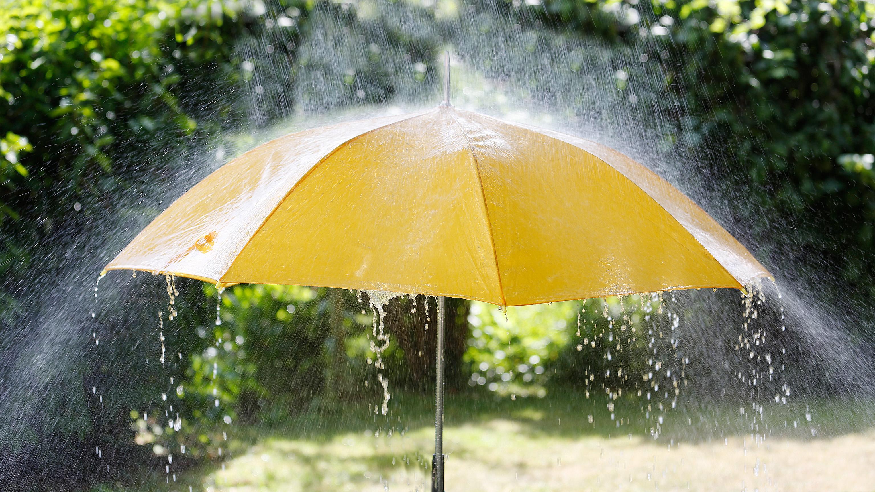 Mit Cisco Umbrella Die Firewall In Die Cloud Auslagern Heise Online Cisco umbrella pricing versus webtitan dns filter how does cisco umbrella pricing compare to webtitan dns filtering pricing? mit cisco umbrella die firewall in die