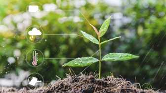 Smart Garden: Weniger Gartenarbeit dank Automatisierung