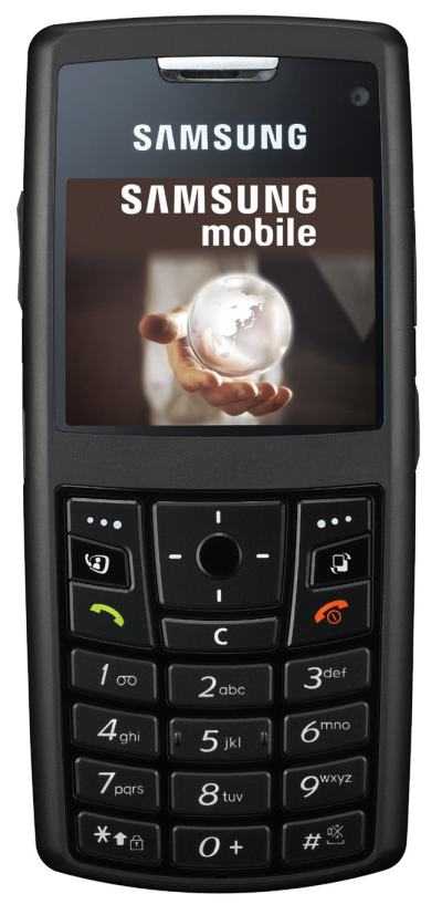 Bild 1 [400 x 827 Pixel @ 37,7 KB]