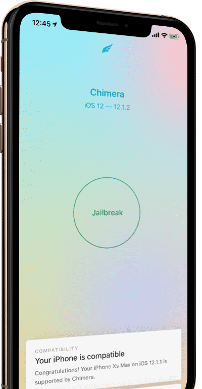 Der Jailbreak ist nur möglich, solange auf dem iPhone noch nicht iOS 12.2 (oder neuer) läuft.