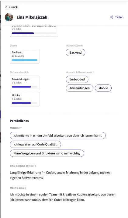 matched.io, Entwicklerprofil (fiktives Beispiel)