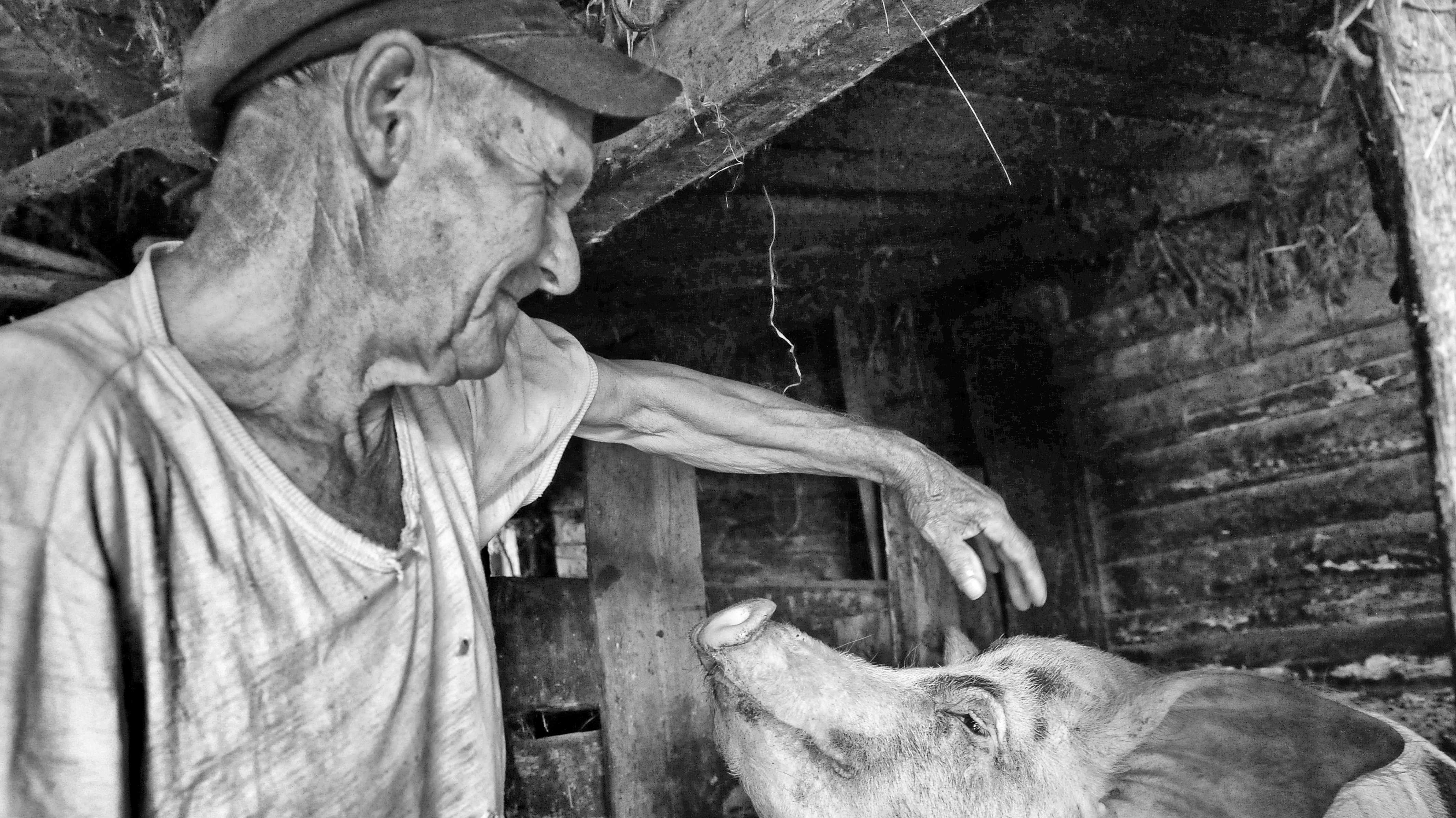 Tschernobyl - 30 Jahre nach der Reaktorkatastrophe | heise ...