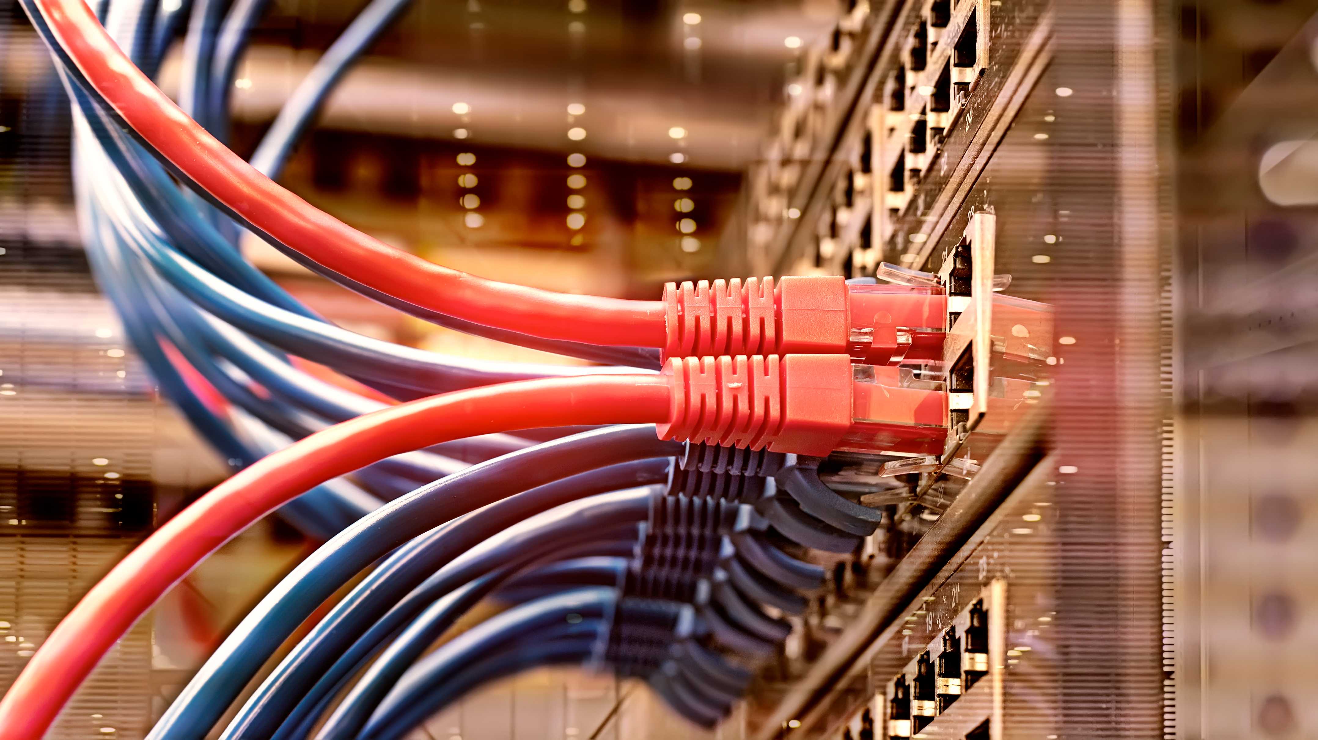 Rote und blaue Ethernet-Kabel hängen an einem Rack