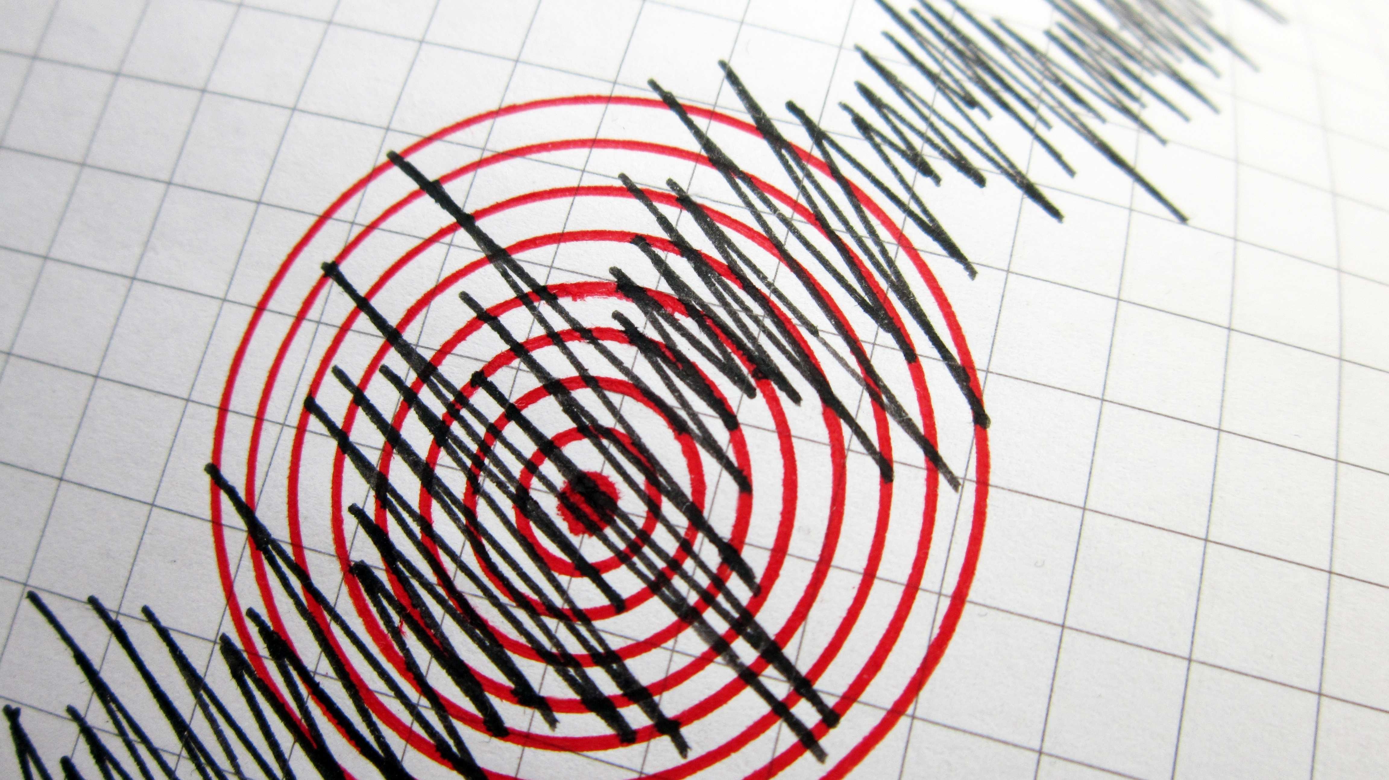 Seismograph und Erdbeben. Ein Seismograph, der die seismische Aktivität eines Erdbebens aufzeichnet.