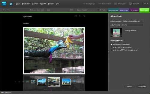 Als einziges Programm im Test erstellt Photoshop Elements präsentable Webgalerien. Mit Flash-Effekten und edler Vulkanglasspiegelung können sich die Fotos im Web sehen lassen.