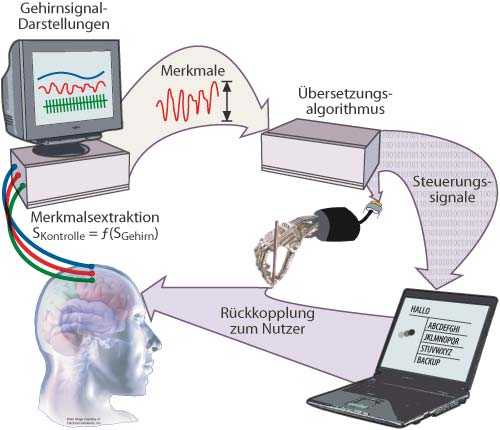 Brain-Computer-Interfaces