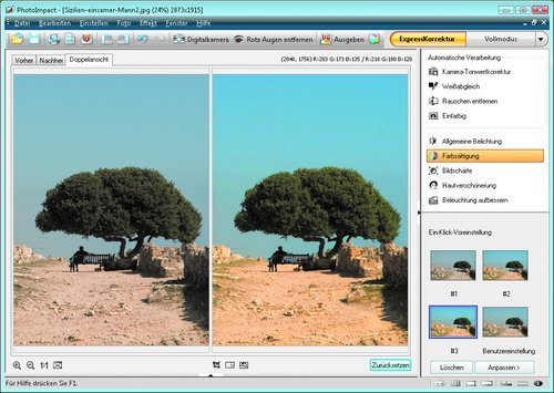 PhotoImpact teilt sich in Vollmodus und ExpressKorrektur. Hier bietet das Programm Ein-Klick- Einstellungen an, die manchmal, aber längst nicht immer das Bild verbessern.