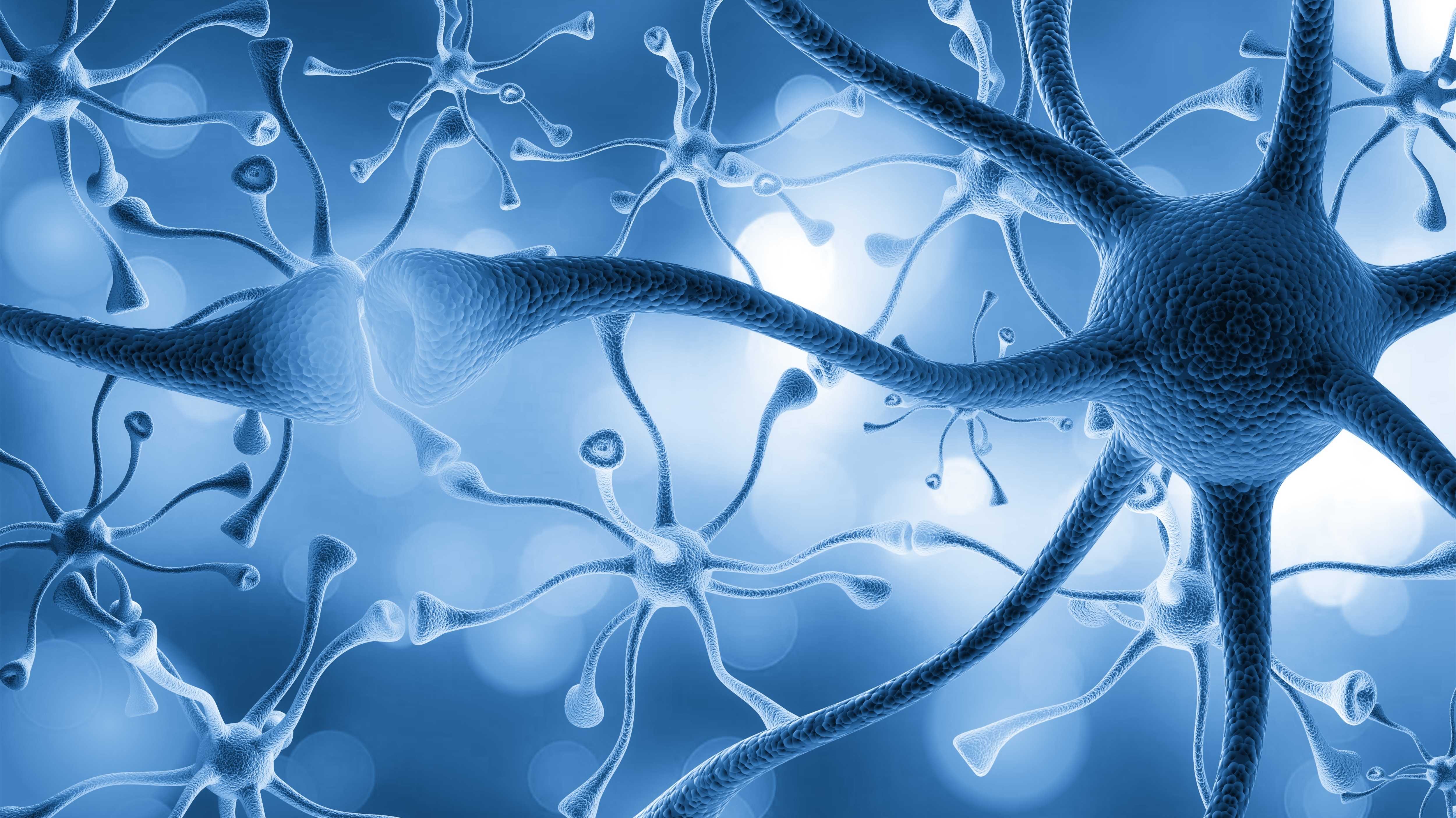 Neuronenzellen, Nahaufnahme