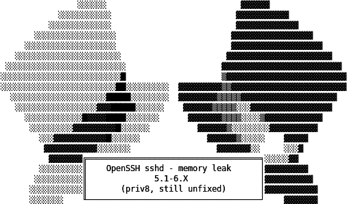 OpenSSH-Exploit