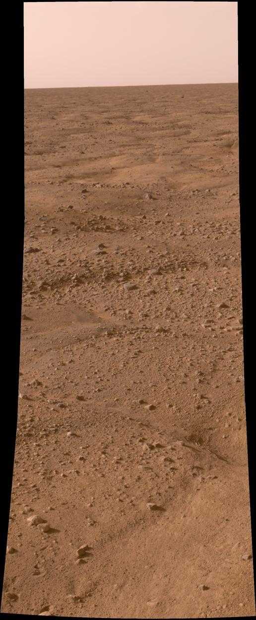 Eines der ersten Bilder, die Phoenix vom Mars schickte. (Quelle: NASA)