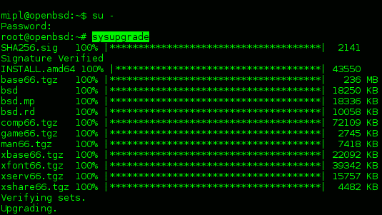 OpenBSD 6.6 mit automatischen System-Updates