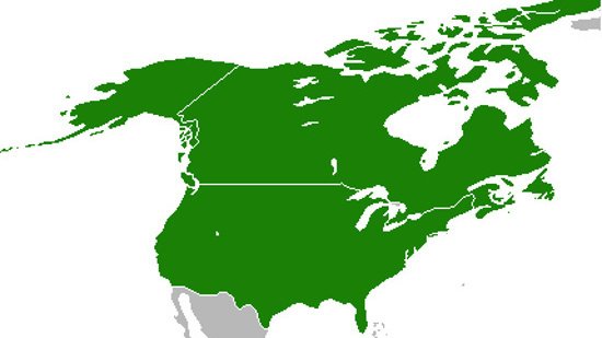 Landkarte USA & Kanada