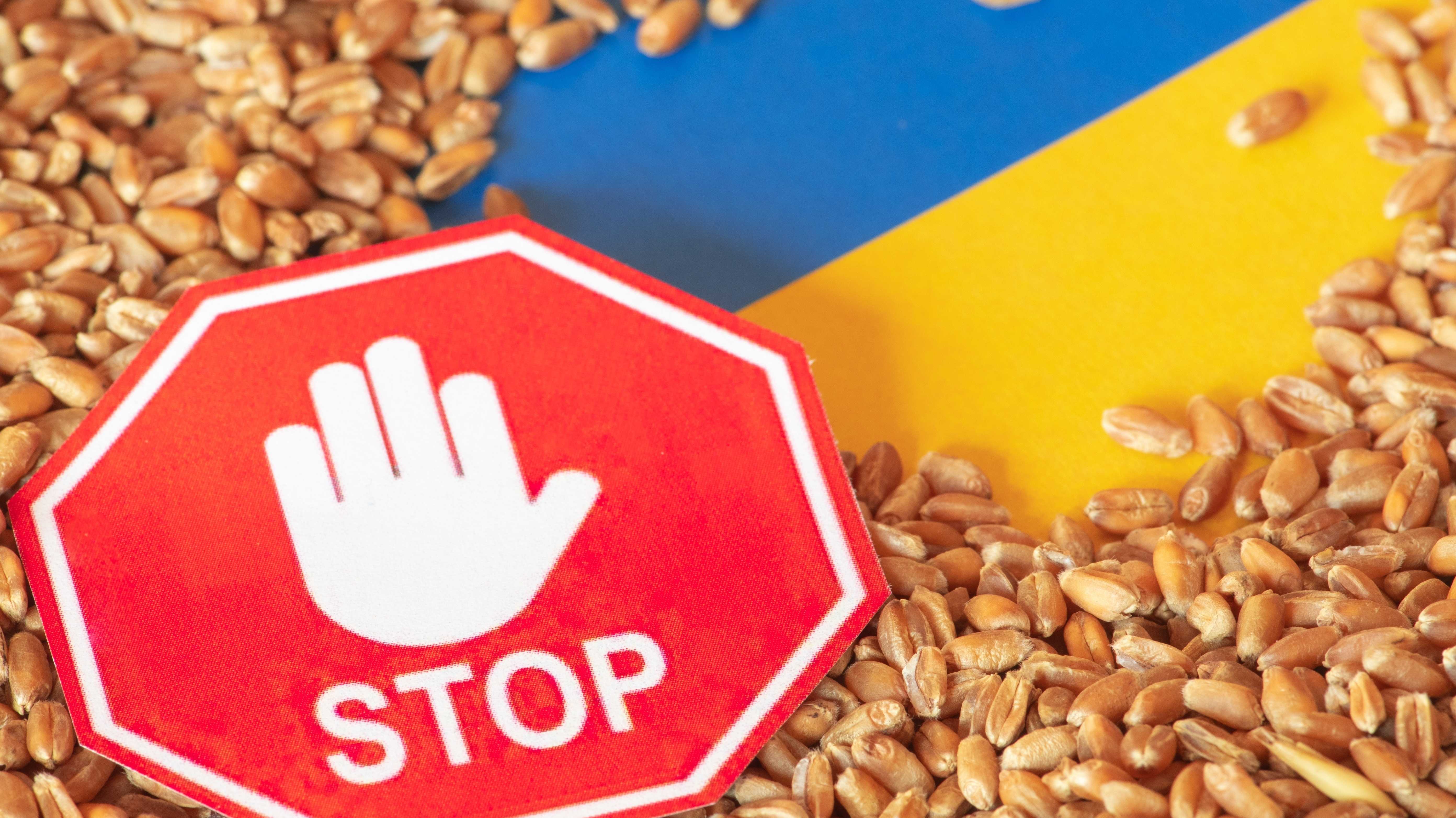 Weizenkörner auf Ukraine-Flagge mit Stopp-Signal