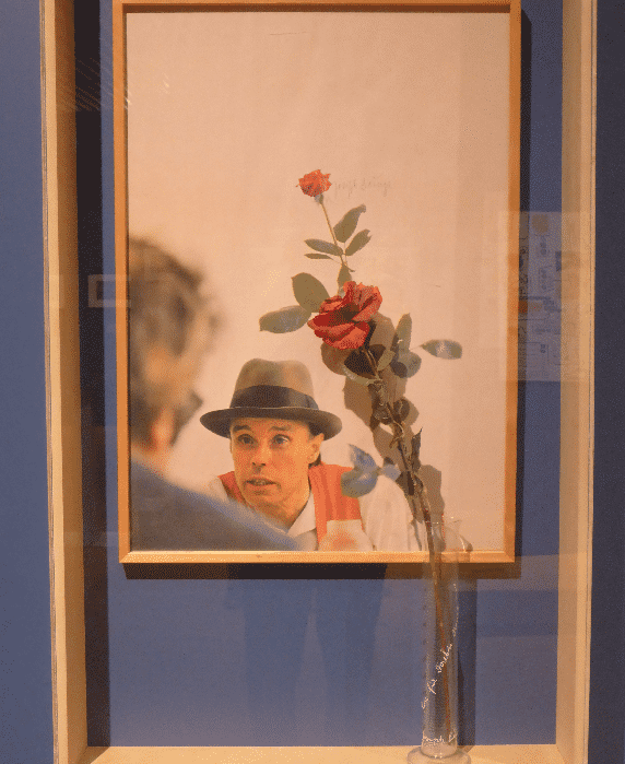 Joseph Beuys, Eine Rose für die direkte Demokratie