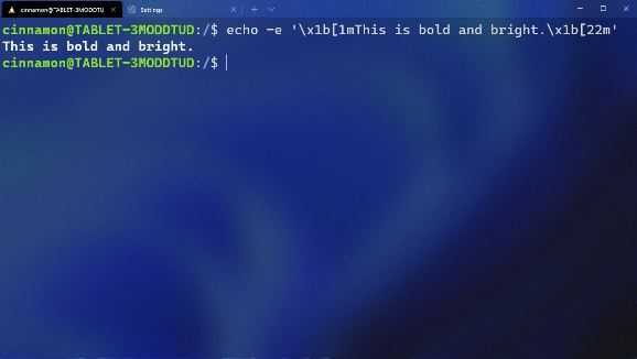 Windows Terminal Preview 1.11: Texthervorhebung im Terminal