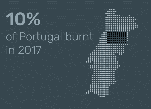 Waldbrände in Portugal in 2017: Das Ausmaß der Katastrophe (Abb. 4)