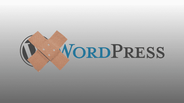 Sicherheitsupdate schließt sechs Lücken in WordPress