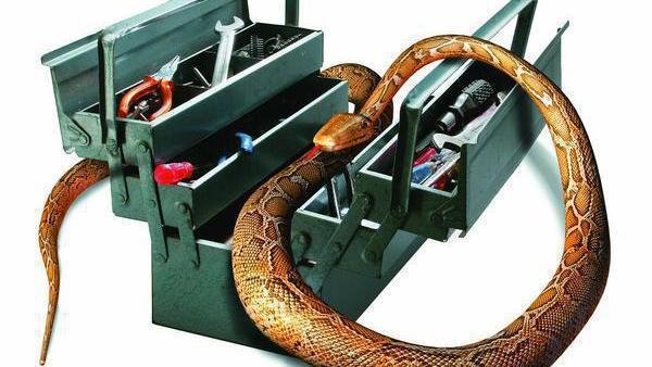 Web-Framework Django 1.9 ermöglicht parallele Tests