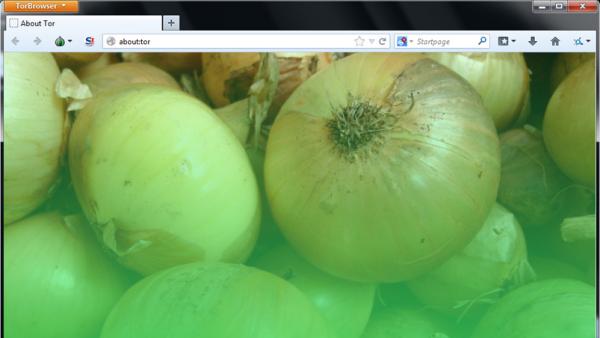 Duckduckgo browser download for windows 10