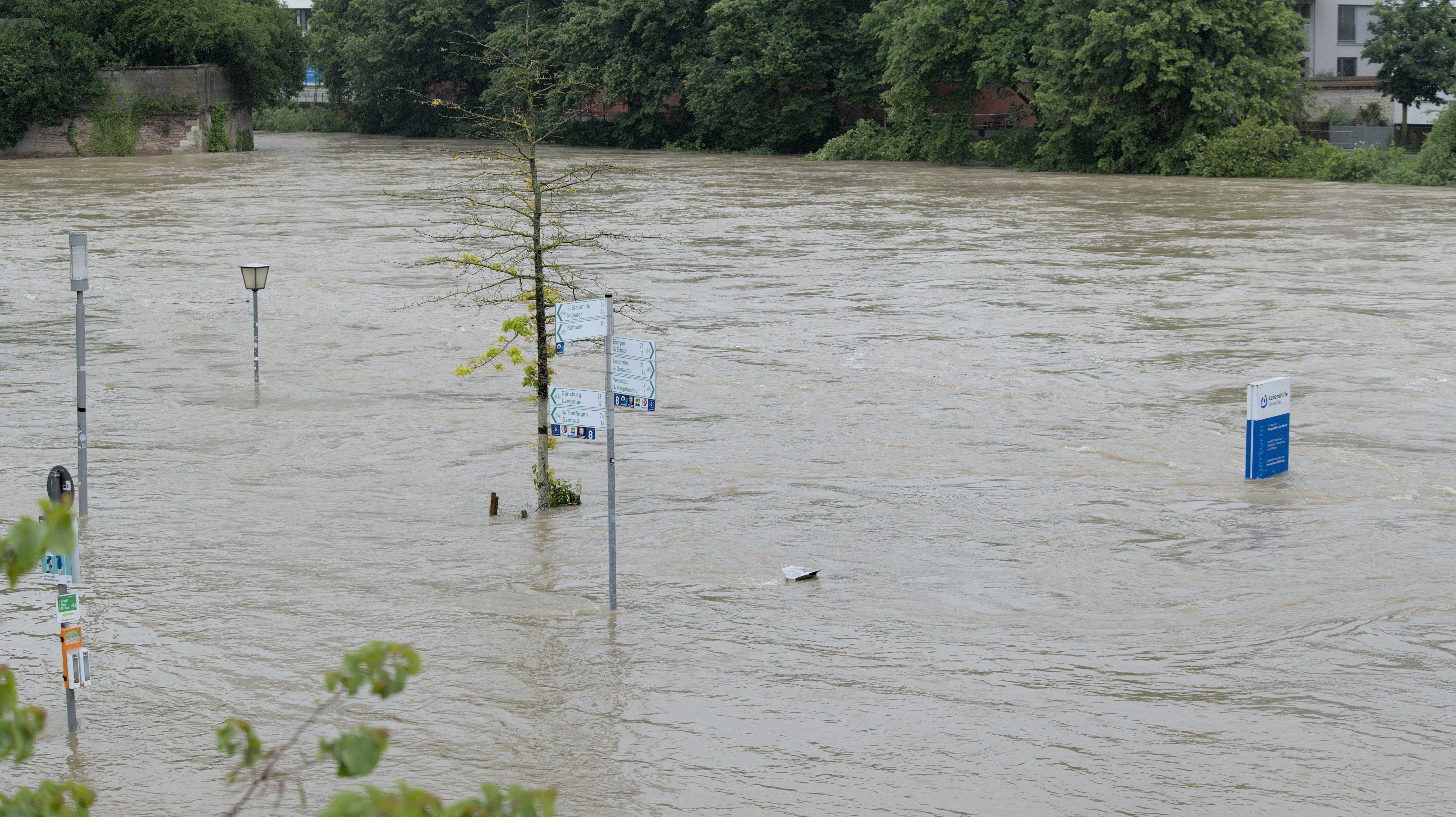 Hochwasser der Donau am 1. Juni 2024 in Ulm.