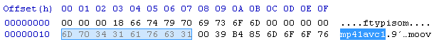 Tpyische Ansicht eines Hex-Editors: Links sind die hexdezimalen Zahlen als Oktette dargestellt, rechts die ASCII-Übersetzung. Die markierten Bytes stehen zeigen das Videoformat MPEG-4 AVC (H.264) an.