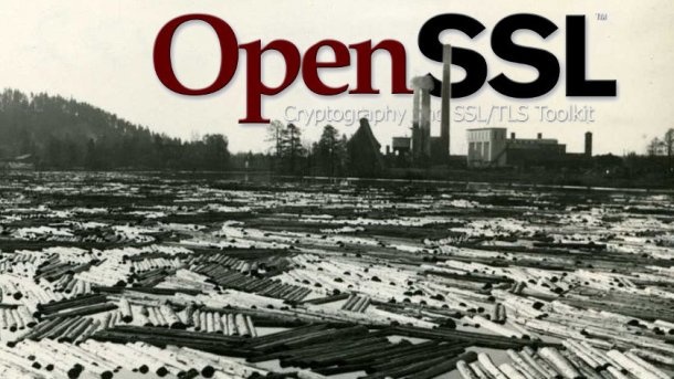 OpenSSL-Entwickler schließen Logjam-Lücke