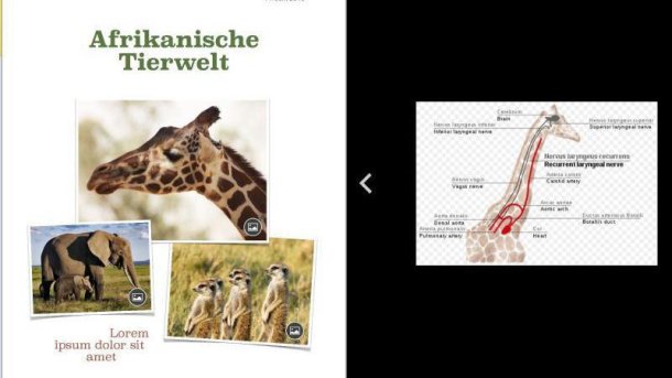 Zwei Fenster im Vollansicht-Modus