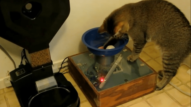 Katzen füttern mit Arduino und RFID