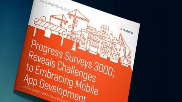 Studie: Begrenzte Ressourcen und sich ständig ändernde Techniken behindern App-Entwicklung