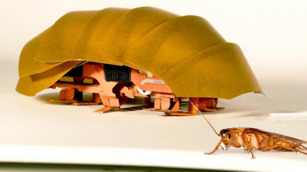 Roboter-Kakerlake soll Verschütteten zu Hilfe kommen